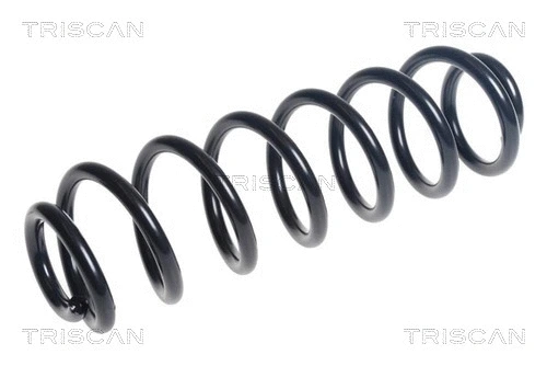 Suspension Spring (8750 29460)