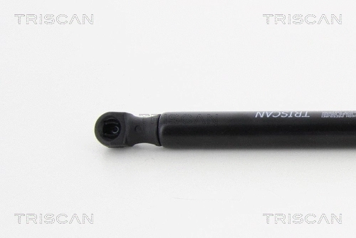 Gas Spring, boot/cargo area