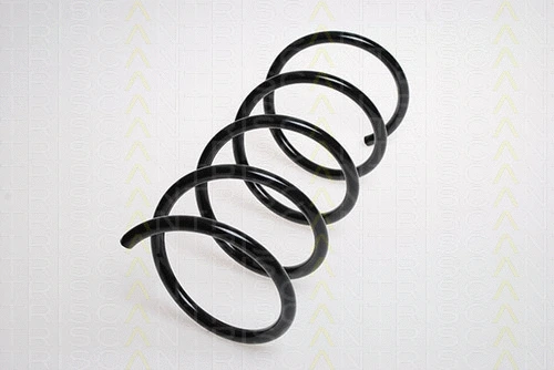 Suspension Spring (8750 23109)