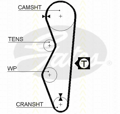 Timing Belt