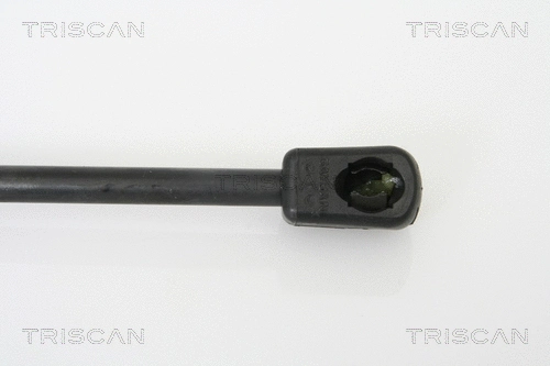 Gas Spring, boot/cargo area