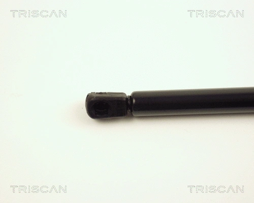 Gas Spring, boot/cargo area