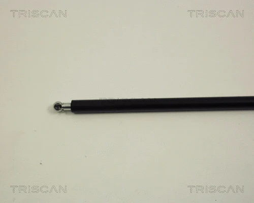 Gas Spring, boot/cargo area