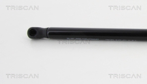 Gas Spring, boot/cargo area