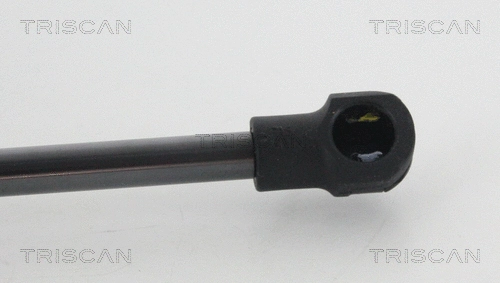 Gas Spring, boot/cargo area
