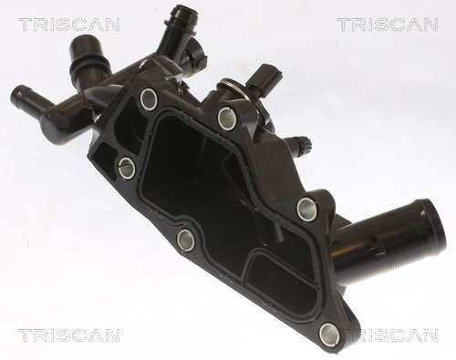 Thermostat, coolant (8620 546)