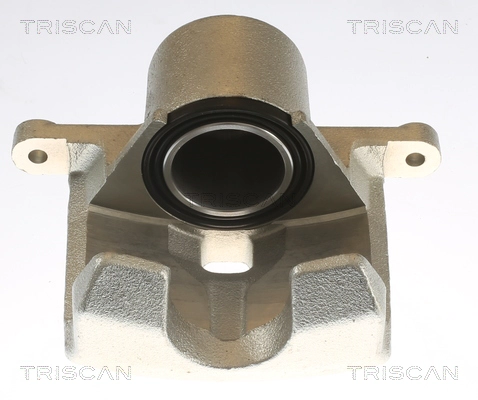 Brake Caliper (8175 50104)