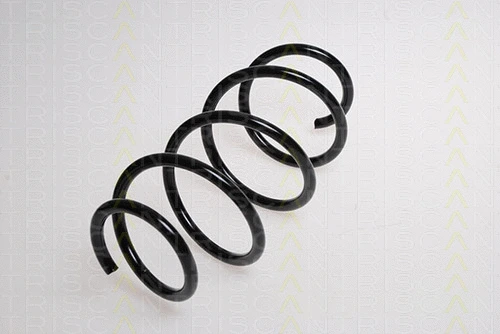 Suspension Spring (8750 28234)