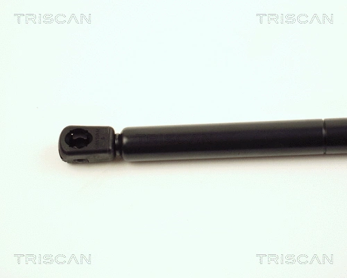Gas Spring, bonnet