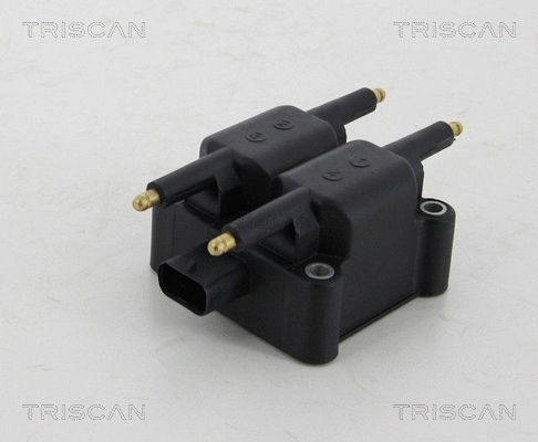 Ignition Coil (8860 80008)