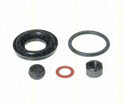 Repair Kit, brake caliper (8170 203201)