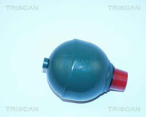 Pressure Accumulator, pneumatic suspension (8760 38211)