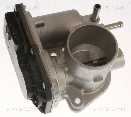 Throttle Body (8820 13009)