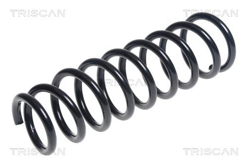Suspension Spring (8750 42113)