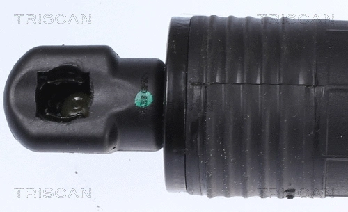 Gas Spring, boot/cargo area