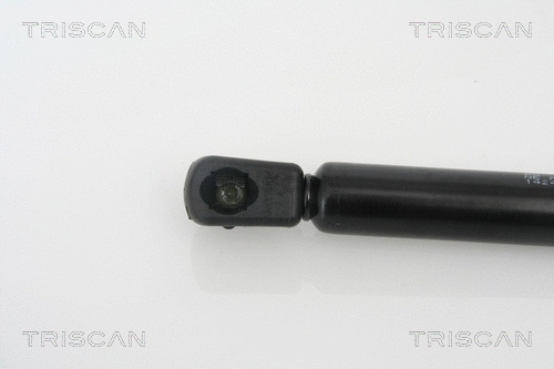 Gas Spring, boot/cargo area