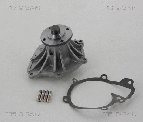 Water Pump, engine cooling (8600 13993)