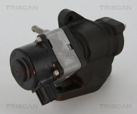 EGR Valve (8813 14005)