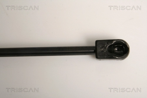Gas Spring, bonnet
