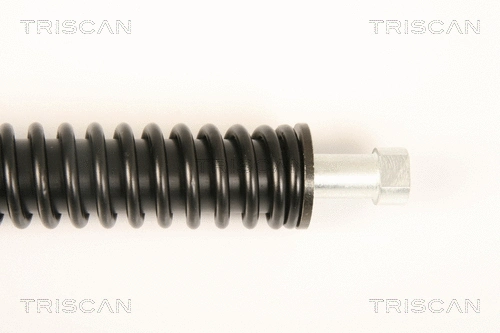 Gas Spring, boot/cargo area