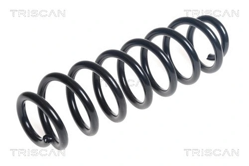 Suspension Spring (8750 29448)