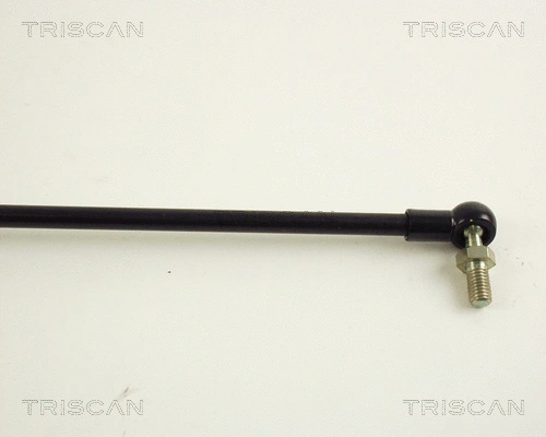Gas Spring, boot/cargo area