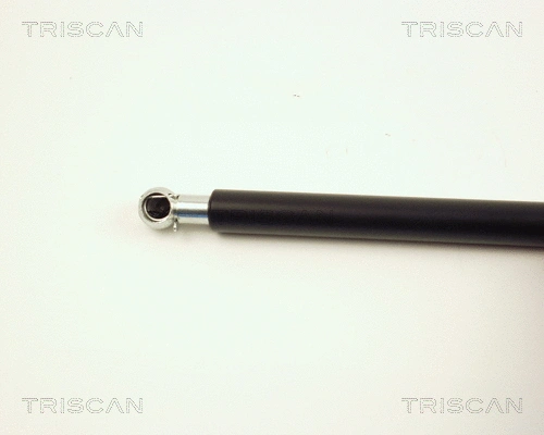 Gas Spring, boot/cargo area