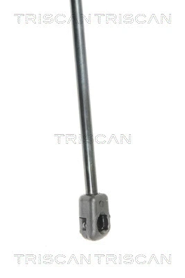 Gas Spring, boot/cargo area