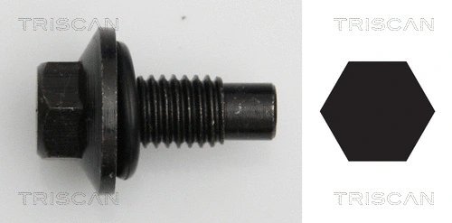 Screw Plug, oil sump (9500 1016)