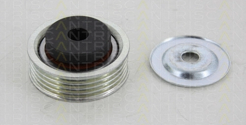 Tensioner Pulley, V-ribbed belt (8641 691007)