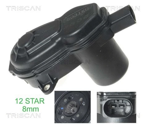 Control Element, parking brake caliper (8170 208031)