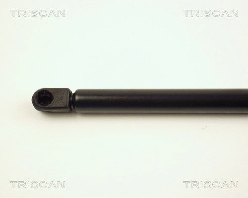 Gas Spring, boot/cargo area