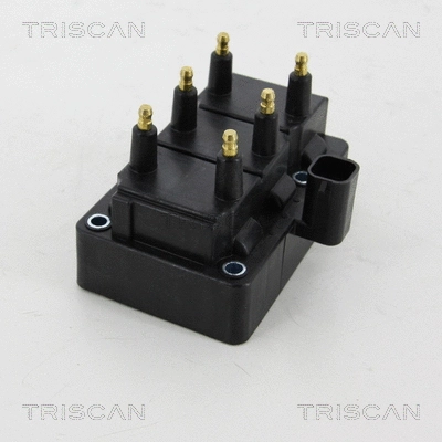 Ignition Coil (8860 10015)