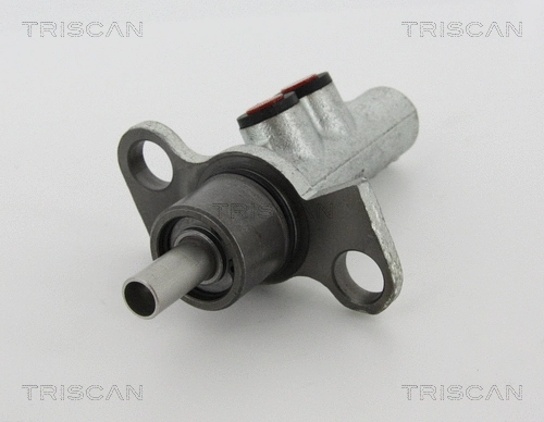 Brake Master Cylinder (8130 29173)