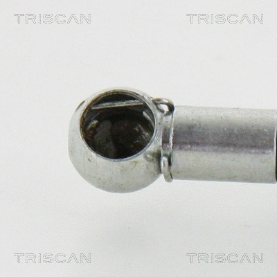 Gas Spring, boot/cargo area