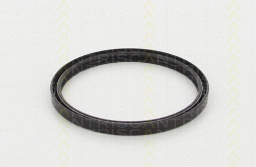 Shaft Seal, crankshaft (8550 10037)