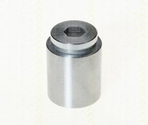 Piston, brake caliper (8170 233604)