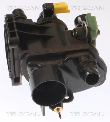 Thermostat, coolant (8620 55197)