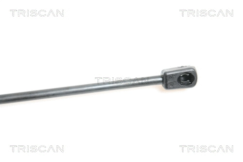 Gas Spring, bonnet
