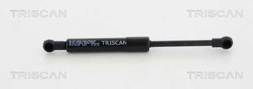 Gas Spring, bonnet (8710 20106)