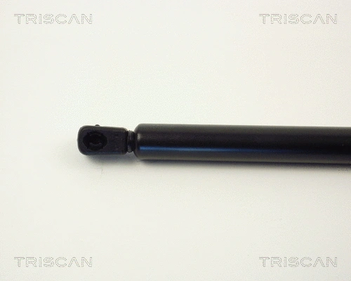 Gas Spring, boot/cargo area