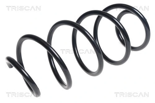 Suspension Spring (8750 11206)