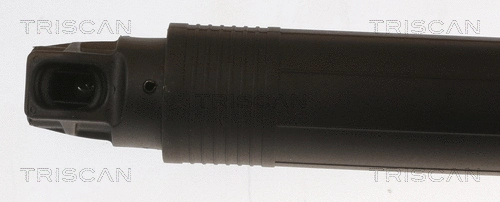 Gas Spring, boot/cargo area