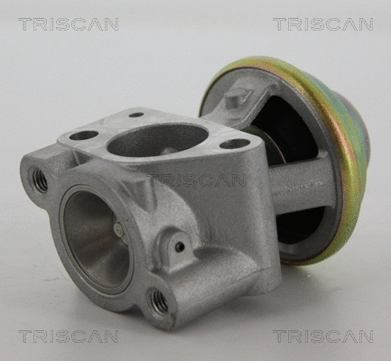 EGR Valve (8813 15040)