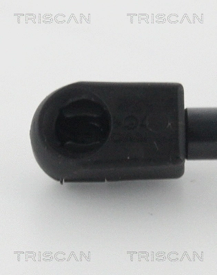 Gas Spring, boot/cargo area