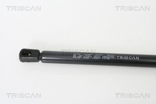 Gas Spring, boot/cargo area