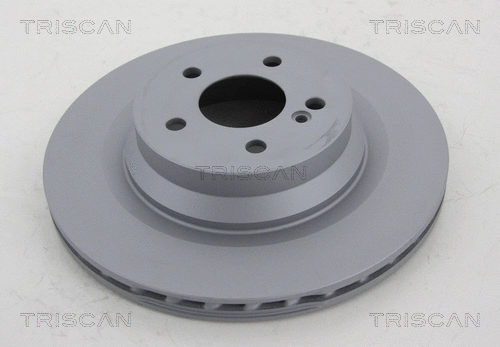 Brake Disc (8120 231017C)
