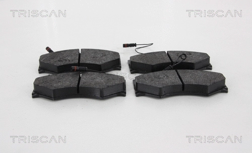 Brake Pad Set, disc brake (8110 23059)
