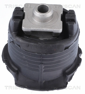 Bushing, axle beam (8500 238010)