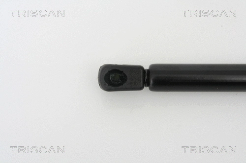 Gas Spring, boot/cargo area
